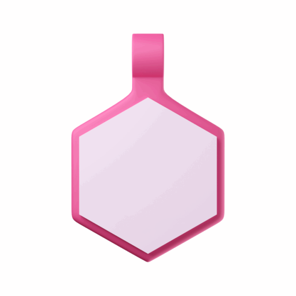 Tag Hexágono Candy Pink - Imagem 2
