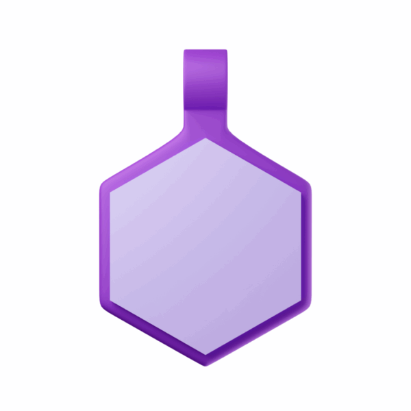 Tag Hexágono Candy Purple - Imagem 2